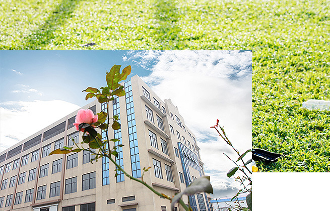 五級重量分選秤客戶案例視頻